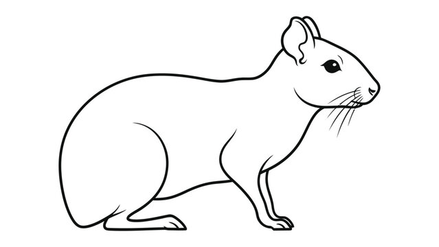 Cavy Illustration: A detailed black and white illustration of a cavy in a side profile, focusing on anatomical precision and clean lines for a visually compelling artistic rendering.