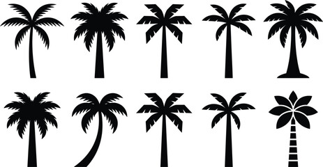 Fototapeta premium Set of tropical palm tree silhouette icons featuring different coconut palm shapes and styles, black botanical vector collection for summer beach design,