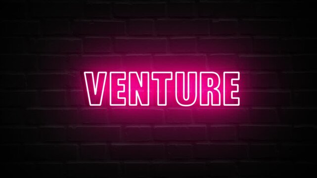 Neon, Glowing, Colorful Venture animation. venture neon text motion. Flocker text 4k video.