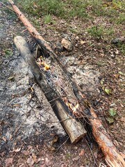Fire with coals and firewood in nature.