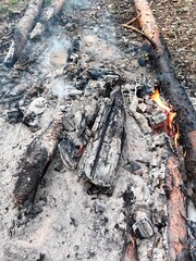 Fire with coals and firewood in nature.