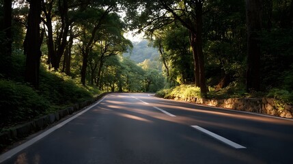 Obraz premium A sun d d forest road winding through lush green trees towards a distant horizon