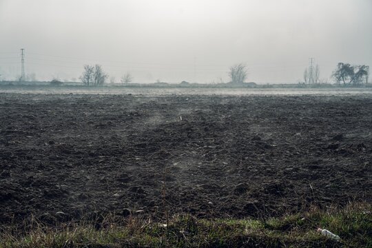 A misty morning view of a freshly plowed field, with sparse trees and power lines in the background, creating a serene yet desolate atmosphere.