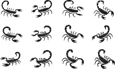 Twelve black scorpion silhouettes in various poses on white background insect arachnid
