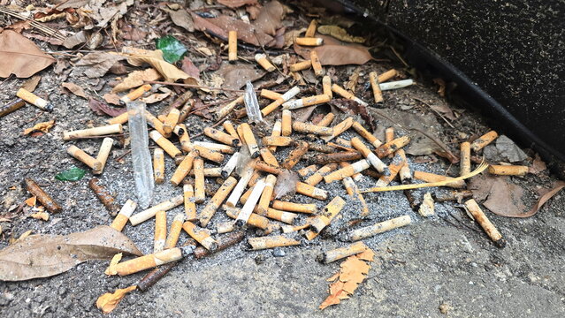 Used cigarette butts are disposed of mixed with other trash. Large quantities of cigarette butts discarded on ground can have negative impact on environment. Human Health concept. Problem of humanity
