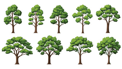 Obraz premium Collection of ten different green deciduous trees in various shapes and sizes offers a versatile set for nature and landscape illustrations.