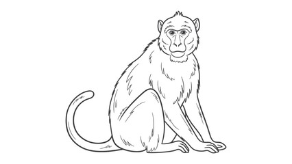 Monkey illustration: An illustrative depiction of a monkey sitting in a composed pose, meticulously detailed lines capturing its unique features and characteristics. © Murshida