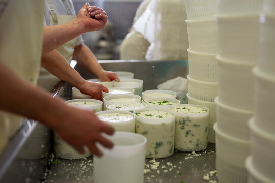 Dairy production cheese primo sale plastic molds manual processing dairy chef professional kitchen traditional Italian manufacturing parsley