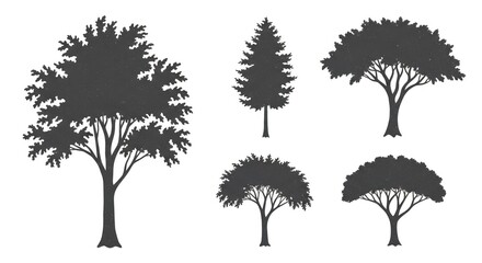 Fototapeta premium Silhouette collection of various tree types on a plain white background for design