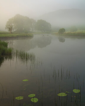 Misty sunrise over Elterwater lake in summer, Elterwater South Lakeland, Cumbria, North West England, England, UK
