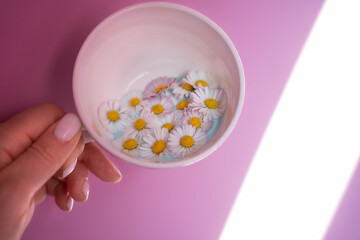 Hand holding a white cup filled with daisies