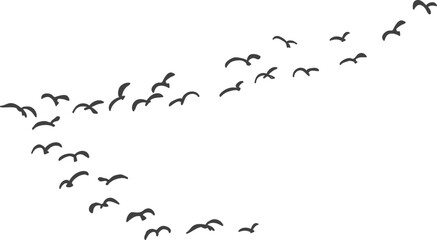 하늘을 날고 있는 새무리