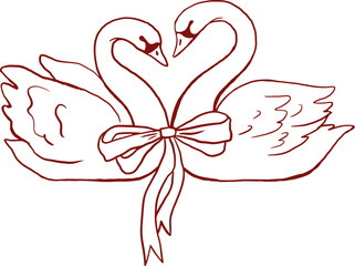 Two swans with coquette ribbon bow. Vintage hand drawn wedding line art illustrations and graphic elements series © Marina Zlochin