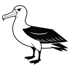 Fototapeta premium albatross