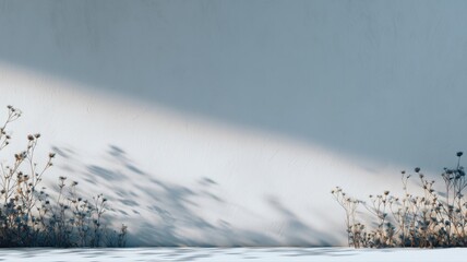 乾いた草の影が壁に映る静かな風景。自然や季節のイメージ素材に最適な写真。