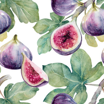 Fresh ripe Fig with half and green leaves hand drawn illustration isolated on white. Colorful, vibrant purple fruit seamless pattern for food, garden, designs, packaging, textile, fabric, wallpaper