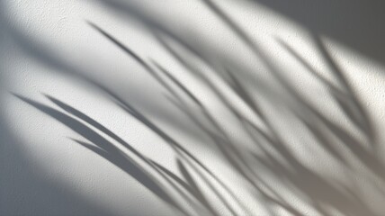 壁に映る植物の影の抽象的な表現。インテリアやデザインの背景素材に最適なイメージ。