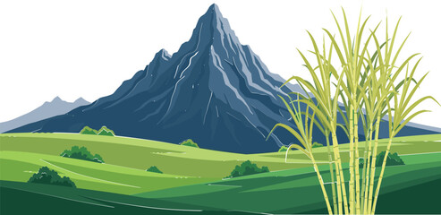 Mountain Landscape with Sugarcane Field Cartoon Vector Illustration of Green Agricultural Countryside and Natural Scenic Environment © ARIFUL