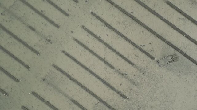 Oyster Farm Sea Overhead View Aerial Whitstable UK Seabed