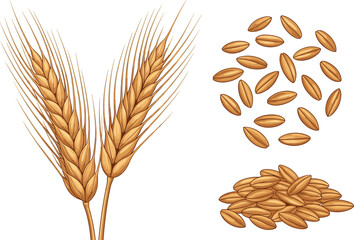 Naklejka premium Wheat Ears and Grain Seeds Set with Golden Wheat Spikelets and Cereal Kernels Agriculture Harvest Food Vector Illustration