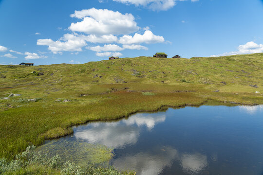 View of a serene lake mirroring the sky's fluffy clouds, bordered by vibrant green and brown grasses, with distant cabins dotting the hilly landscape, Vikafjellsvegen Historic Route 13, Norway.
