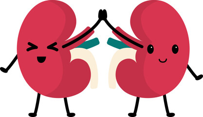 World kidney day illustration. Earth, kidney, heart cute character for kidney day awarness. Vector isolated © OGustamil Studios