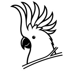 Beautiful macaw bird silhouette © Breck