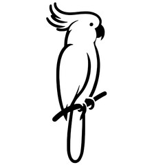 Beautiful macaw bird silhouette © Breck