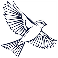 Obraz premium Bird sketch sparrow drawing