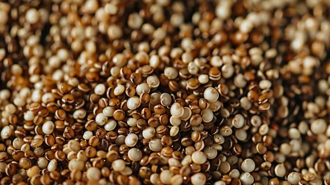 Close-up of mixed quinoa grains. Natural lighting highlights texture and color variation. Round seeds vary in shade from white to golden brown. Each grain shows slight imperfections, enhancing realism