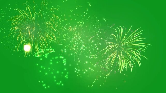 Different Types of Fireworks Explosion Animation in the Night Sky
