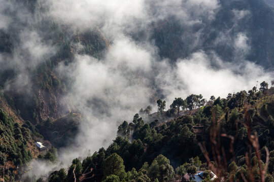 View of a mountain slope draped in ethereal clouds, trees standing tall against the misty veil in Pir Chanasi, Azad Kashmir, Pakistan.