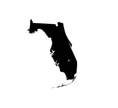 Silhouette of a southeastern US state, black against white, with distinct coastline features