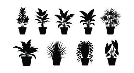 A collection of black silhouette houseplants in pots showcasing diverse leaf shapes and sizes high quality © arfanah02