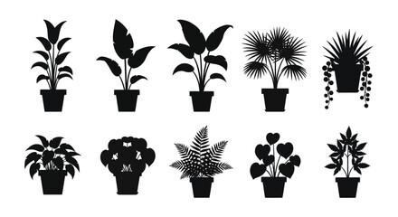 A collection of diverse potted houseplants presented as black silhouettes on a white background high quality © arfanah02