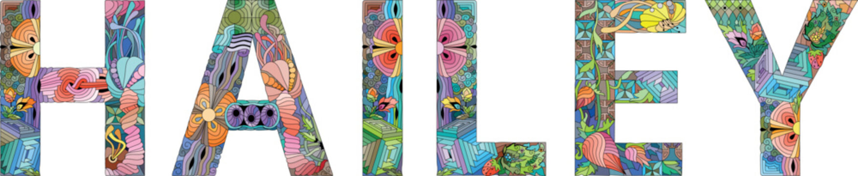 Female name Hailey. Vector decorative object