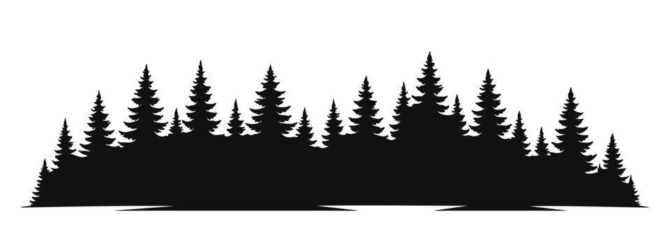 Pine forest trees landscape silhouette vector illustration for nature landscape design and christmas related design