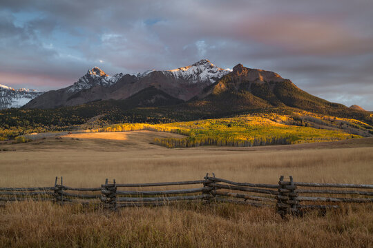 Aspen trees growing in a meadow by snowcapped mountains at sunset, Dallas Divide, Telluride, San Miguel, Colorado, USA