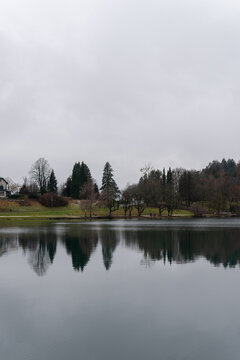 Trees reflected in lake, calm natural landscape