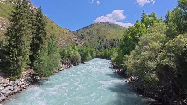 Koksu River flowing through a scenic mountain valley in Kazakhstan under bright blue sky with soft clouds. Turquoise water, rocky banks and dense green forest create a pristine natural landscape of Ce