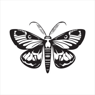 Moth Icon Collection. Solid style icons of moth relatives: luna moth, hawk moth, atlas moth, emperor moth, silk moth, tiger moth,