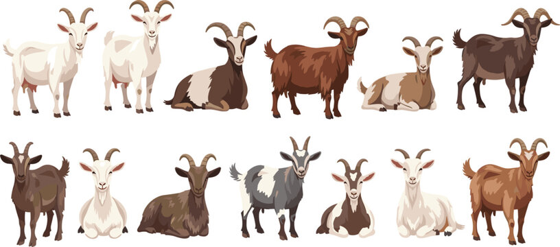 Farm Goat Animal Collection with Different Domestic Goat Breeds Standing and Sitting Rural Livestock Cartoon Vector Illustration Set