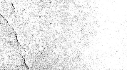 Obraz premium Abstract texture dust particle and dust grain on white background. Dirty monochrome pattern of the old worn surface.