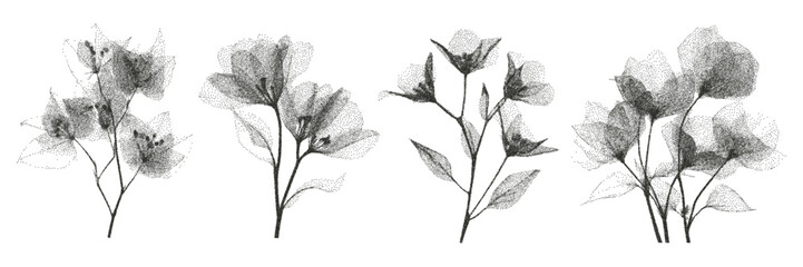 Naklejka premium Herbarium plant set with X-ray effect. Trendy grunge style flowers. Vector.