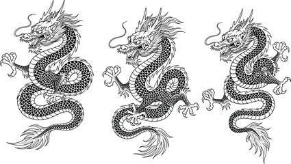 Three Detailed Black And White Illustrations Of A Traditional Chinese Dragon illustration mythical creature © Fazlul