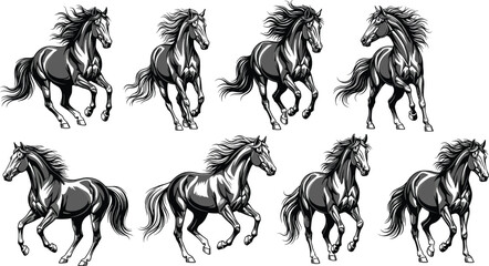 Running horse illustrations collection, powerful wild stallion galloping poses set, detailed equine animal vector drawing, dynamic horse movement bundle © Hello World