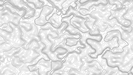 Topography background. Vector banner. contour line, Vector geographic contour map. Background of the topographic map. Topographic map lines, contour background.  © Mst
