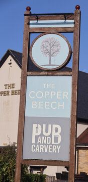 Norwich, England: March 4 2026: Historic buildings and street architecture in Norwich city centre Norfolk. Rustic wooden sign for the copper beech pub and carvery with tree logo