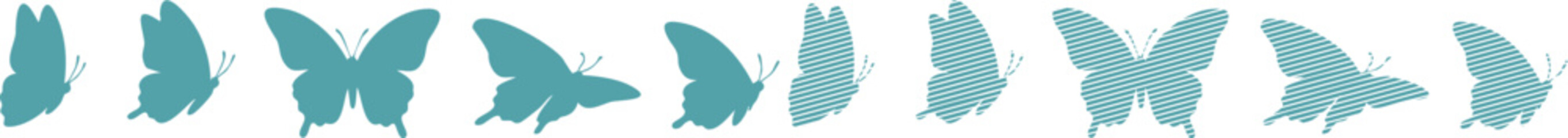 Teal butterflies in various poses and styles butterfly © Shabuj