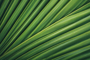 Obraz premium Macro close up of tropical palm leaf showing diagonal linear veins and vibrant green gradients forming a striking organic texture and repeating botanical pattern